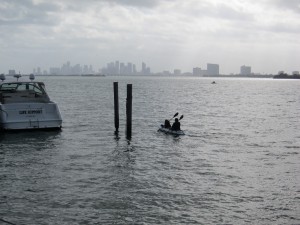 Kayaking on Biscayne Bay